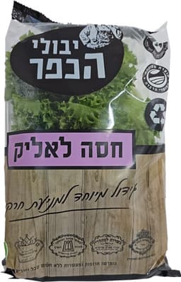 חסה לאליק