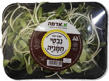 נבטי חמניה ארוז א.אדמה