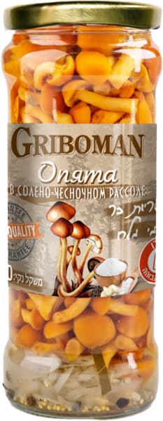 פטריות נמקו שלמות במ