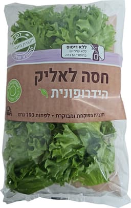 חסה לאליק הידרופונית190ג