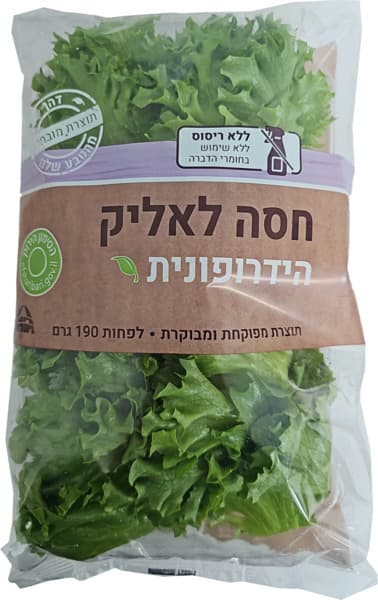 חסה לאליק הידרופונית190ג