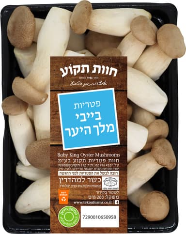 פטריות בייבי מלך היע