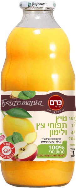 מיץ תפוח לימון גינגר