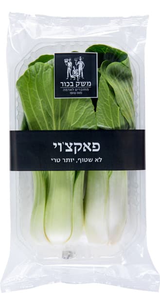 פקצוי