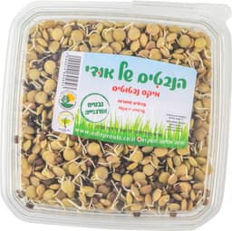 מיקס נבטוטים אורגני