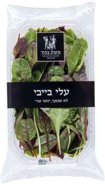 עלי בייבי