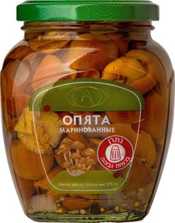 פטריות אופיאטה מוחמצ