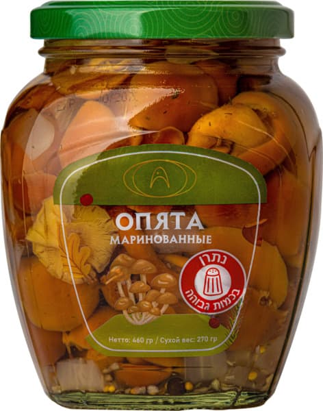 פטריות אופיאטה מוחמצ