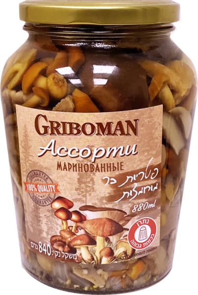 תערובת פטריות מוחמצו