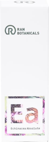 אכינצאה אבסולוט