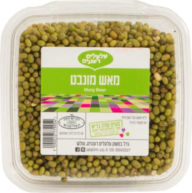 מאש מונבט