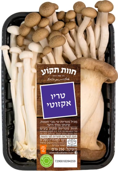מיני מיקס פטריות אקז