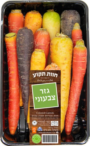 גזר צבעוני חוות  תקו