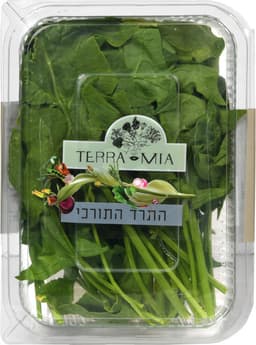 עלי תרד טורקי