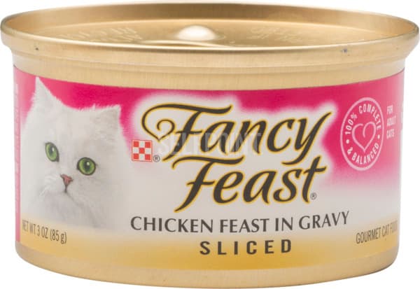 פנסי פיסט נתחי בשר ועוף