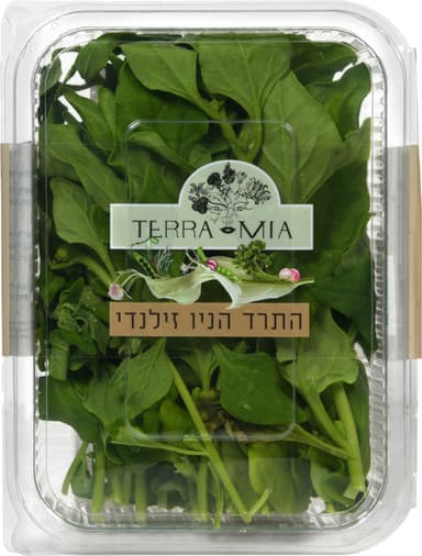 תרד ניו זילנדי