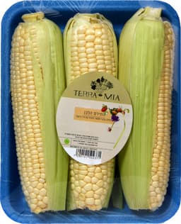 התירס הלבן תוק טרה מיה