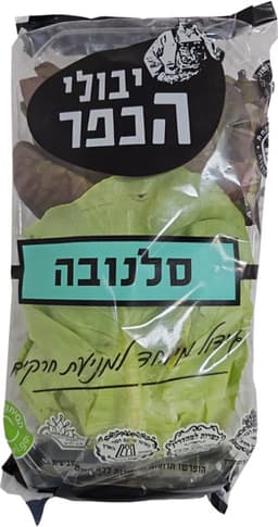 סלנובה