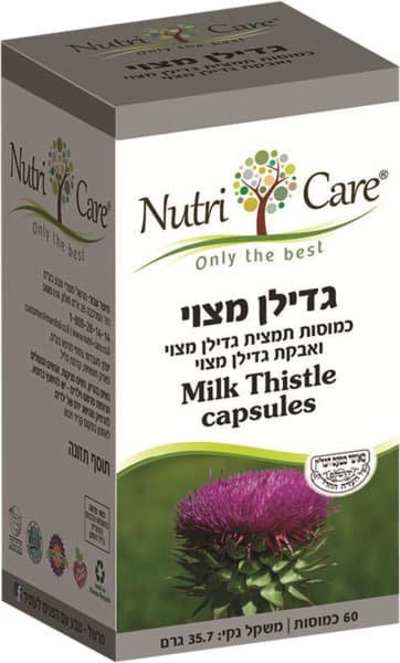 גדילן מצוי          