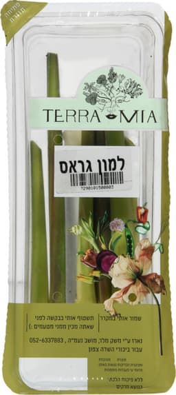 למון גראס