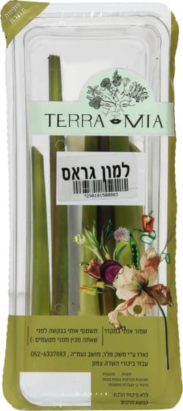 למון גראס