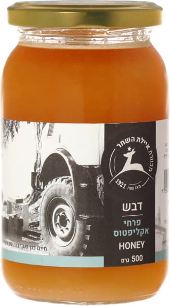 דבש מלא מפרחי אקליפטוס 500 גרם