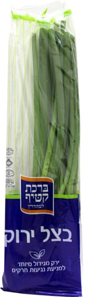 בצל ירוק מהדרין קטיף