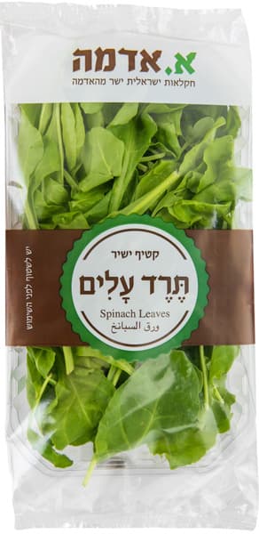 עלי תרד ירוק עד כ-25