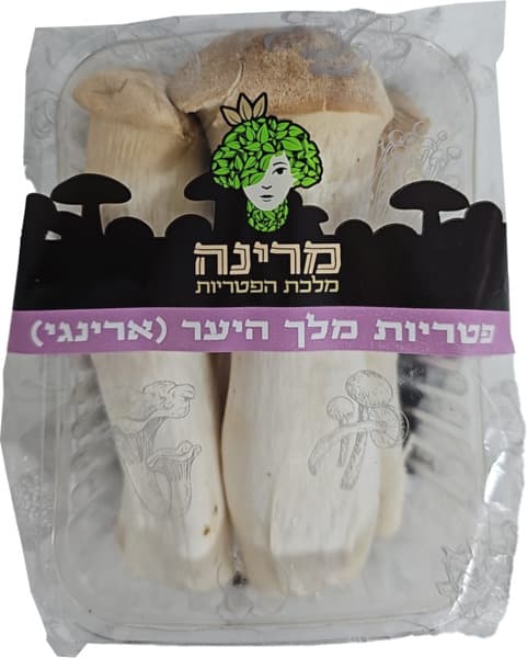פטריות מלך היער מרינ
