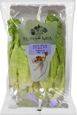 לבבות חסה קיסר רבנות