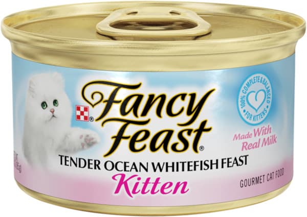 פנסי פיסט חתלתולים