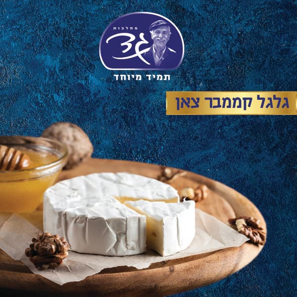 קממבר צאן 25% במשקל