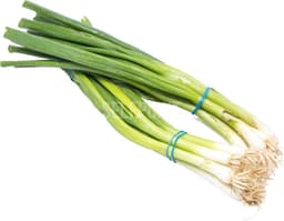 בצל ירוק גלאט עלים