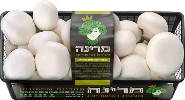 צמד פטריות מרינה