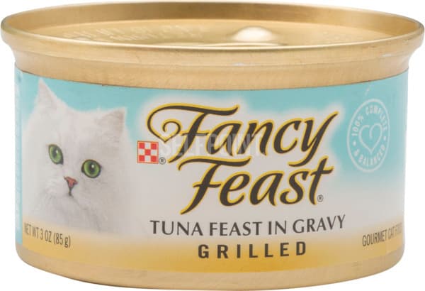 פנסי פיסט גריל טונה