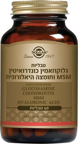 סולגר גלוקוזאמין כונדרואיטין MSM ו-HA 60