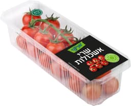 שרי אשכולות