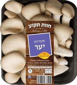 פטריות יער חוות תקוע