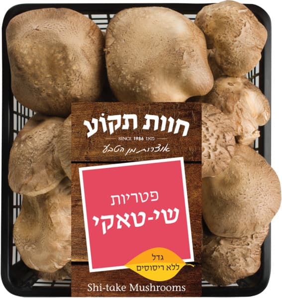 פטריות שיטאקי חוות ת