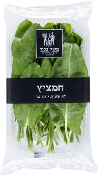 חמציץ