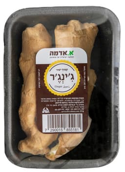 גינג'יר