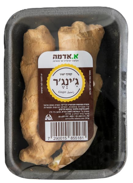 גינג'יר