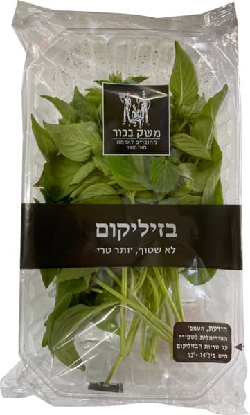 בזיליקום