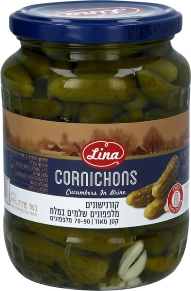 קורנישונים במלח לינה690ג