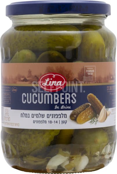 מלפפונים שלמים במלח