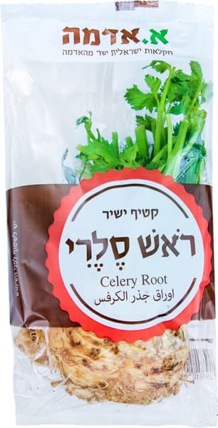 ראש סלרי א.אדמה