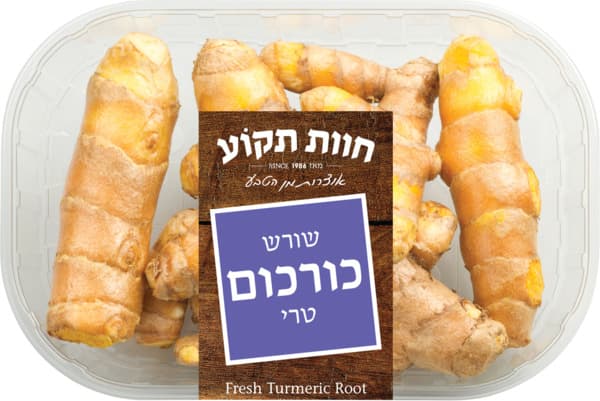 שורש כורכום טרי חוות
