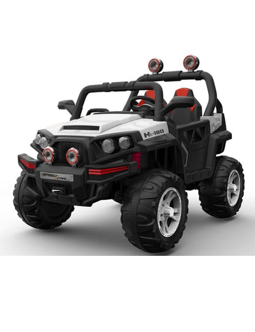 בשר ראש   בית יוסף טרי