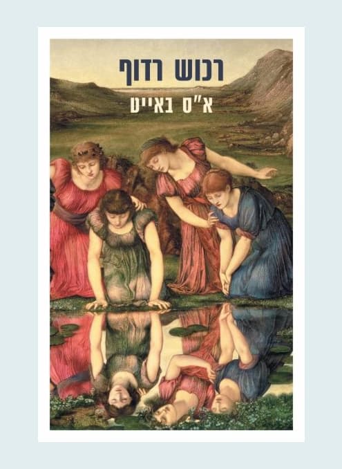 רכוש רדוף | א״ס בייאט