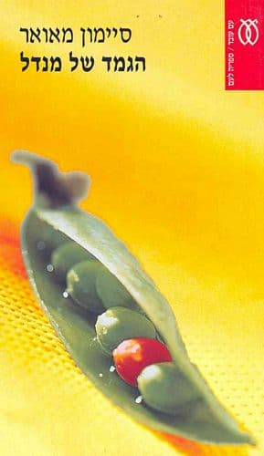 הגמד של מנדל | סיימון מאואר